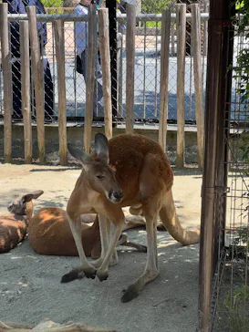 名古屋市東山動植物園に投稿された画像（2026/5/15）
