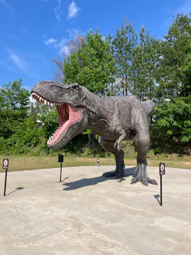 福井県立恐竜博物館に投稿された画像（2026/5/15）