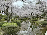 兼六園に投稿された画像（2026/5/15）