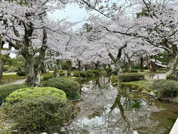 兼六園に投稿された画像（2026/5/15）