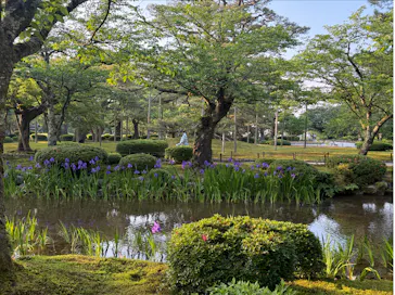 兼六園に投稿された画像（2026/5/15）