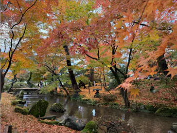 兼六園に投稿された画像（2026/5/15）