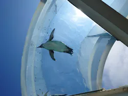 越前松島水族館に投稿された画像（2026/5/15）