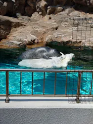 越前松島水族館に投稿された画像（2026/5/15）