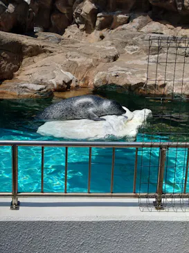 越前松島水族館に投稿された画像（2026/5/15）