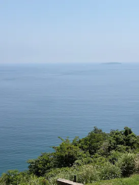 ACAO FORESTに投稿された画像（2026/5/15）