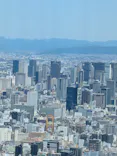 ハルカス300(展望台)に投稿された画像（2026/5/15）