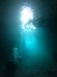 武藤潜水に投稿された画像（2026/5/15）