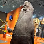 特別展「超危険生物展　科学で挑む生き物の本気」に投稿された画像（2026/5/15）