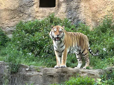多摩動物公園に投稿された画像（2026/5/15）