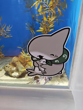 アクアワールド茨城県大洗水族館に投稿された画像（2026/5/15）