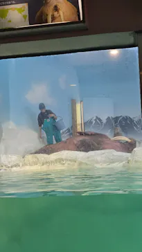 南知多ビーチランド＆南知多おもちゃ王国に投稿された画像（2026/5/15）