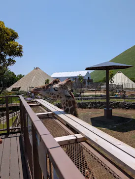 伊豆シャボテン動物公園に投稿された画像（2026/5/15）
