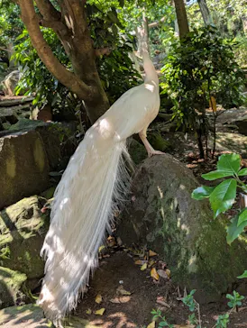 伊豆シャボテン動物公園に投稿された画像（2026/5/15）