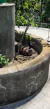 広島市安佐動物公園に投稿された画像（2026/5/15）