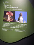 NAKED meets ガウディ展【大阪】に投稿された画像（2026/5/15）