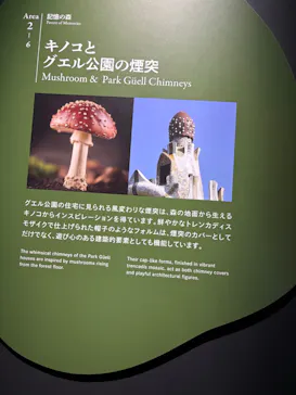 NAKED meets ガウディ展【大阪】に投稿された画像（2026/5/15）