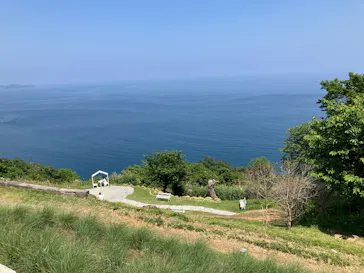 ACAO FORESTに投稿された画像（2026/5/15）