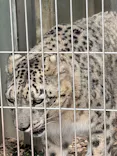 名古屋市東山動植物園に投稿された画像（2026/5/15）