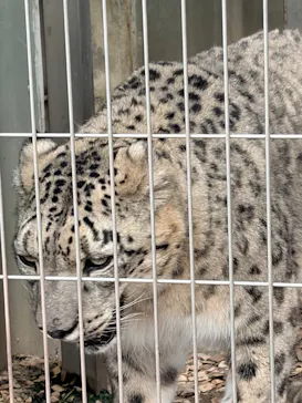 名古屋市東山動植物園に投稿された画像（2026/5/15）