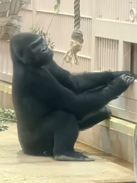 名古屋市東山動植物園に投稿された画像（2026/5/15）