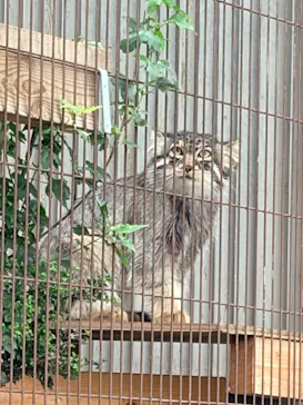 名古屋市東山動植物園に投稿された画像（2026/5/15）