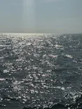 笹川流れ遊覧船 笹川流れ地魚処天ぴ屋＆海カフェに投稿された画像（2026/5/15）