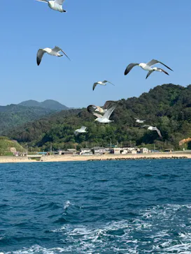 笹川流れ遊覧船 笹川流れ地魚処天ぴ屋＆海カフェに投稿された画像（2026/5/15）
