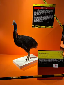特別展「超危険生物展　科学で挑む生き物の本気」に投稿された画像（2026/5/15）