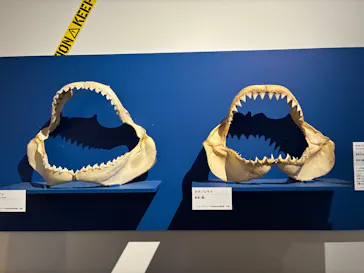 特別展「超危険生物展　科学で挑む生き物の本気」に投稿された画像（2026/5/15）