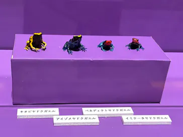 特別展「超危険生物展　科学で挑む生き物の本気」に投稿された画像（2026/5/15）