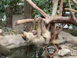 神戸どうぶつ王国に投稿された画像（2026/5/15）