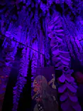 動き出す妖怪展 TOKYO 〜Imagination of Japan〜に投稿された画像（2026/5/15）