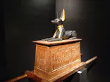 MYSTERY OF TUTANKHAMEN 体感型古代エジプト展に投稿された画像（2026/5/15）