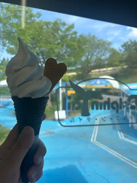 のとじま水族館に投稿された画像（2026/5/15）
