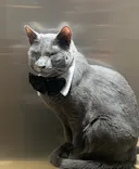 Cat Café MOFF イオンモール広島府中店に投稿された画像（2026/5/15）
