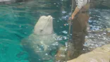 名古屋港水族館に投稿された画像（2026/5/15）