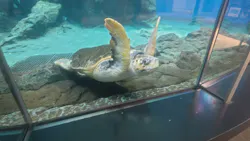 名古屋港水族館に投稿された画像（2026/5/15）
