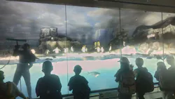 名古屋港水族館に投稿された画像（2026/5/15）