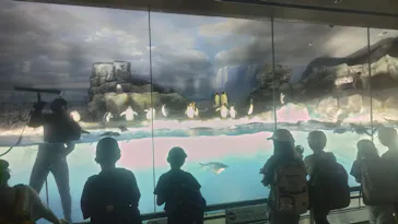 名古屋港水族館に投稿された画像（2026/5/15）