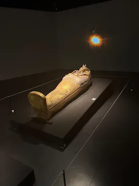 MYSTERY OF TUTANKHAMEN 体感型古代エジプト展に投稿された画像（2026/5/15）