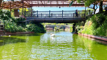 伊豆シャボテン動物公園に投稿された画像（2026/5/15）