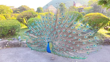 伊豆シャボテン動物公園に投稿された画像（2026/5/15）