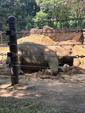 恩賜上野動物園に投稿された画像（2026/5/15）