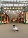 西武園ゆうえんちに投稿された画像（2026/5/16）