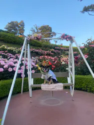 西武園ゆうえんちに投稿された画像（2026/5/15）