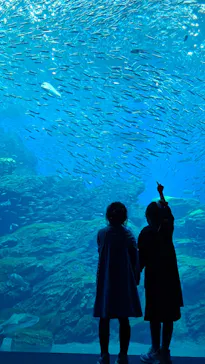 仙台うみの杜水族館に投稿された画像（2026/5/15）