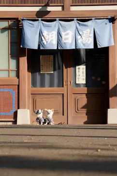 西武園ゆうえんちに投稿された画像（2026/5/15）