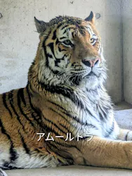 天王寺動物園に投稿された画像（2026/5/15）