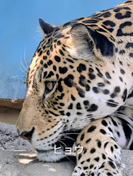 天王寺動物園に投稿された画像（2026/5/15）
